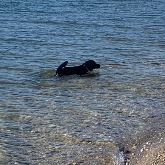 Meet your Posher, Ccschneider - Picture 1 of 1